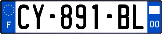 CY-891-BL