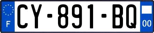 CY-891-BQ
