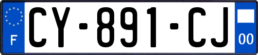 CY-891-CJ