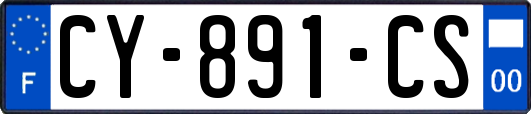 CY-891-CS
