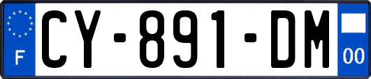 CY-891-DM