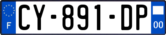 CY-891-DP