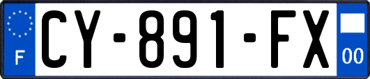 CY-891-FX