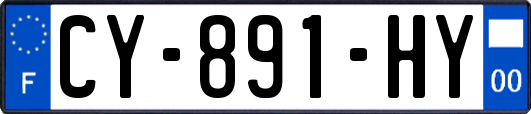 CY-891-HY