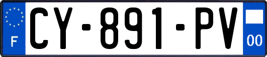 CY-891-PV