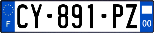 CY-891-PZ