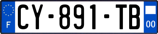 CY-891-TB