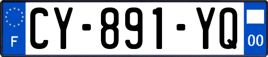 CY-891-YQ