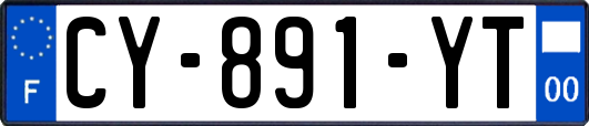 CY-891-YT