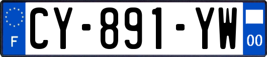 CY-891-YW