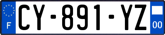 CY-891-YZ