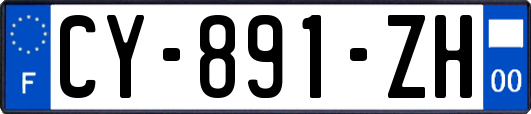 CY-891-ZH