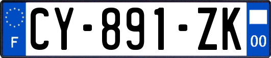 CY-891-ZK