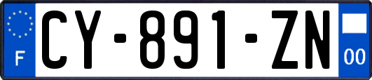 CY-891-ZN