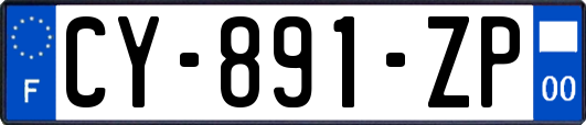 CY-891-ZP