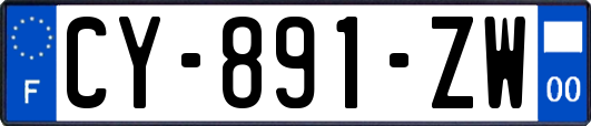 CY-891-ZW