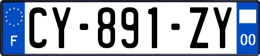 CY-891-ZY