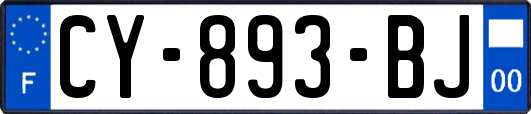 CY-893-BJ
