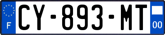 CY-893-MT