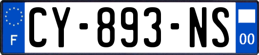 CY-893-NS