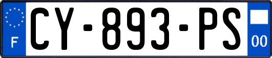 CY-893-PS