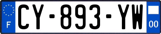 CY-893-YW