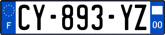 CY-893-YZ
