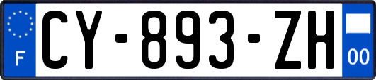 CY-893-ZH