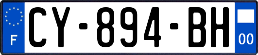CY-894-BH