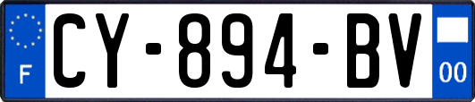 CY-894-BV