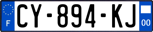 CY-894-KJ