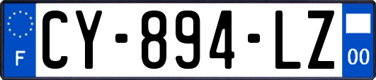 CY-894-LZ