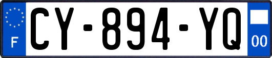 CY-894-YQ