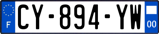 CY-894-YW