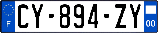 CY-894-ZY