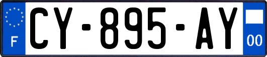 CY-895-AY