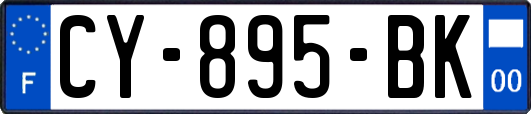 CY-895-BK