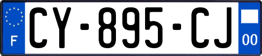 CY-895-CJ