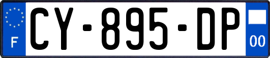 CY-895-DP