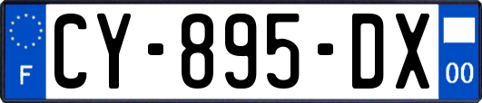 CY-895-DX