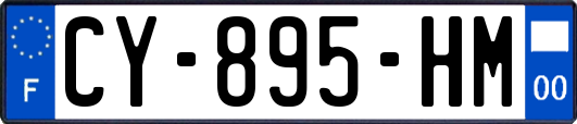 CY-895-HM