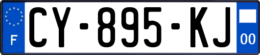 CY-895-KJ