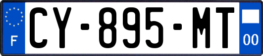 CY-895-MT