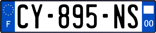 CY-895-NS