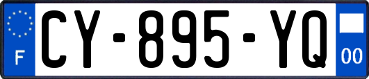 CY-895-YQ