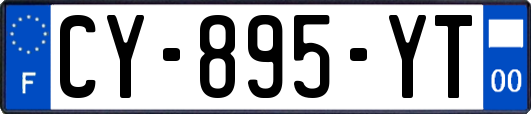 CY-895-YT
