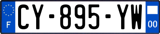 CY-895-YW