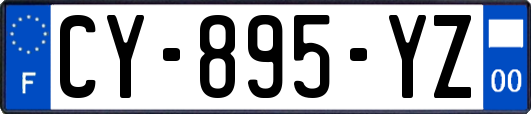 CY-895-YZ