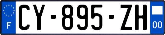CY-895-ZH