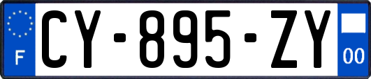CY-895-ZY